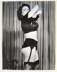 vintage-lingerie-stockings-and-suspenders-a1914